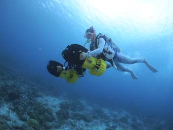 �����C���[�W