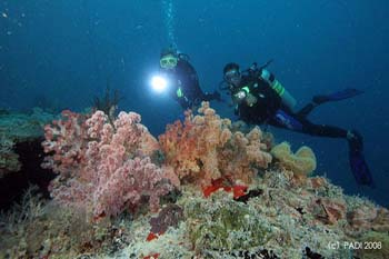 �������߃C���[�W