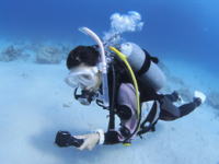 �����C���[�W