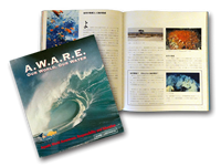 パーティーイメージ