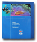 �p�[�e�B�[�C���[�W