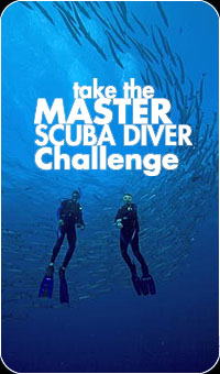 �����C���[�W