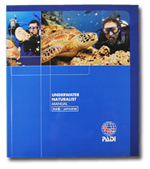 �p�[�e�B�[�C���[�W