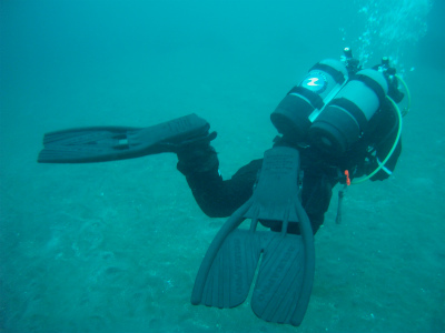 �����C���[�W