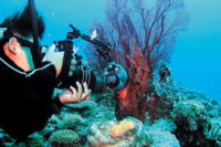 �����C���[�W